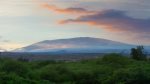 Beautiful Mauna Kea view.